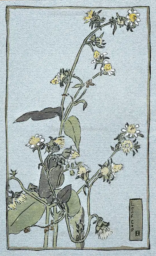 Leaf Cup (1915) by Hannah Borger Overbeck apercu