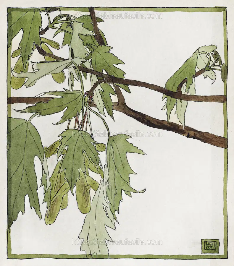 Maple (1915) by Hannah Borger Overbeck apercu