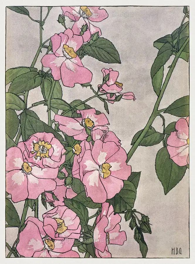 Prairie Rose (1915) by Hannah Borger Overbeck apercu