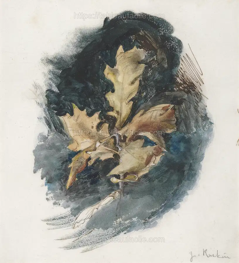 Study of an Oak Leaf apercu