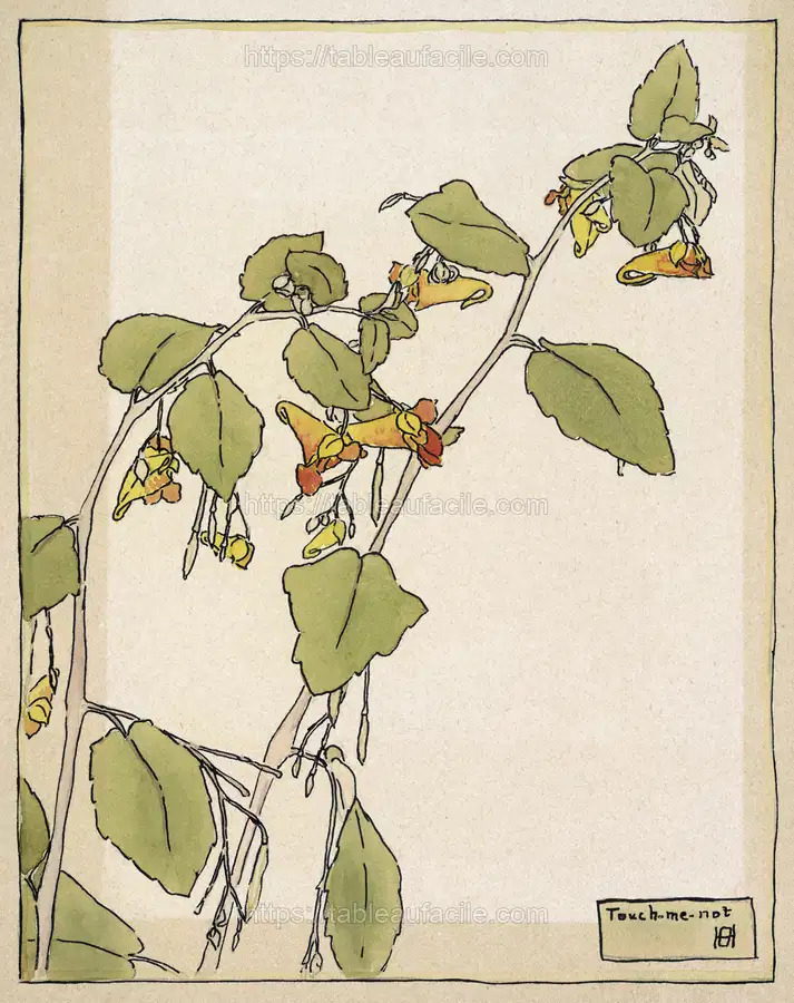 Touch Me Not (1915) by Hannah Borger Overbeck apercu