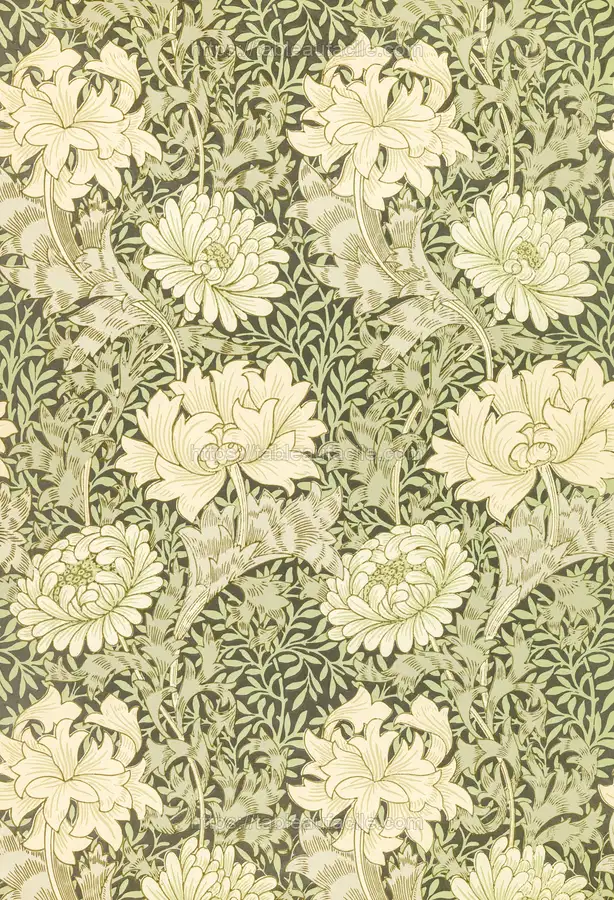 William Morris_s Chrysanthemum pattern (1877) apercu