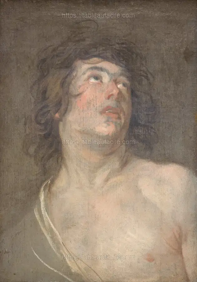 Studio head of a young man looking up. St.Sebastian by Anthony Van Dyck apercu