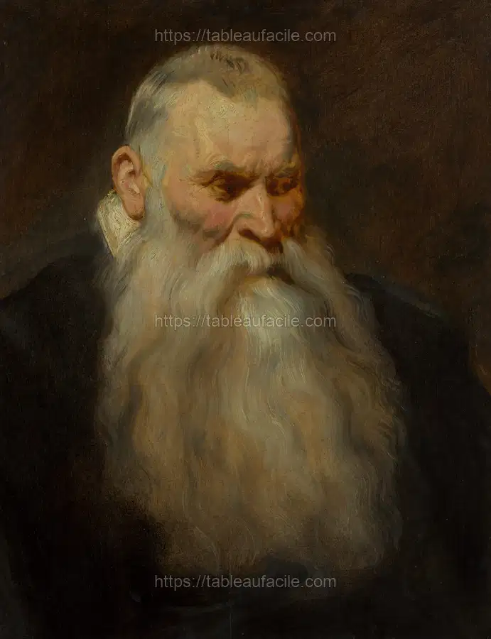 Study Head of an Old Man with a White Beard by Anthony van Dyck apercu