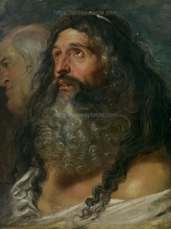 Study of Two Heads by Peter Paul Rubens apercu