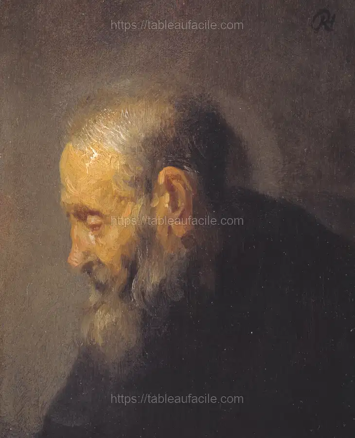 Study of an Old Man in Profile by Rembrandt van Rijn apercu