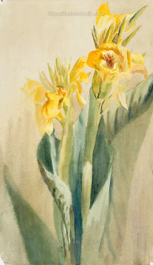 Cana (circa 1915) apercu