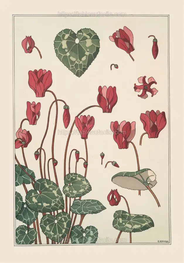 Cyclamen (1896) apercu