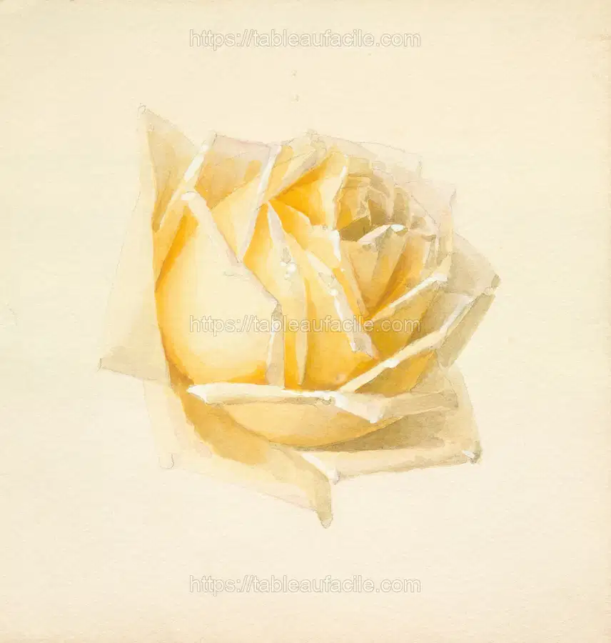 Study of a Rose (circa 1898) apercu