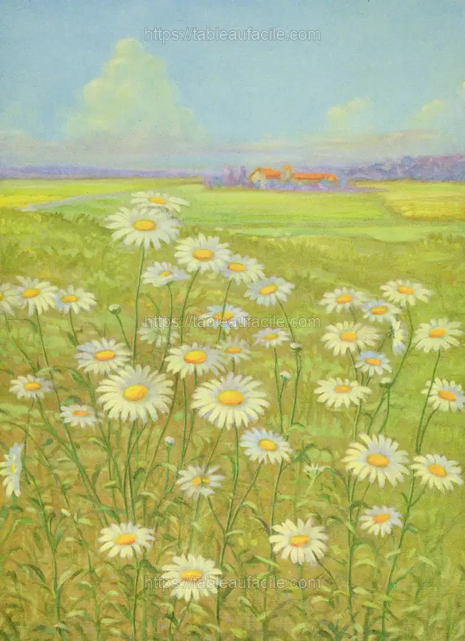 Wild Daisy (1937) apercu