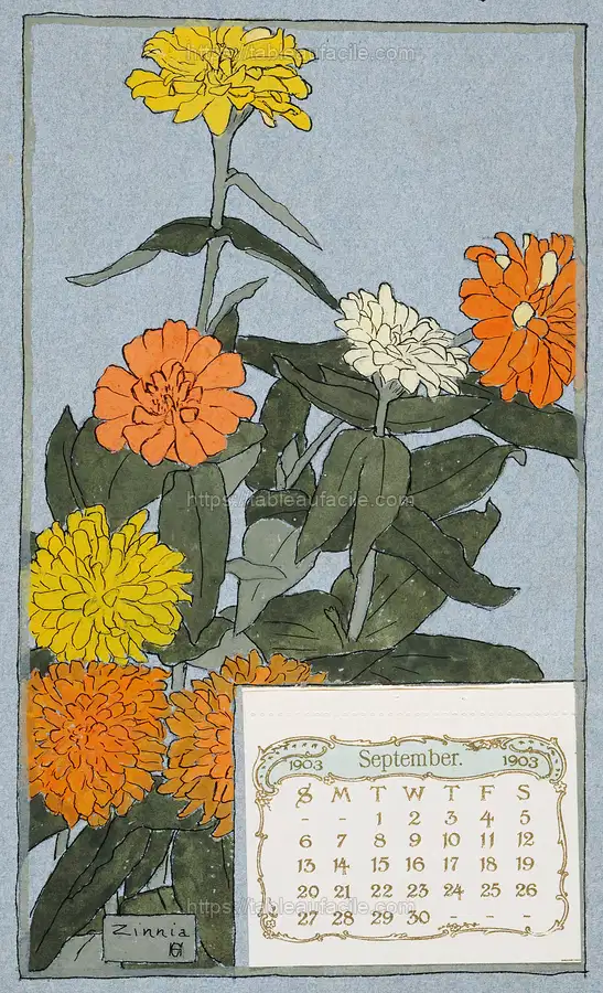 Zinnia (circa 1915) apercu