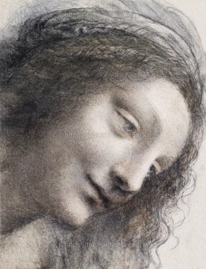 The Head of the Virgin in Three-Quarter View Facing Right (ca. 1510–1513)  by Leonardo da Vinci apercu