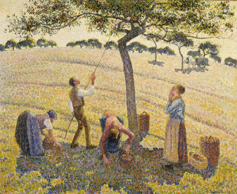 Apple Harvest (1888) Camille Pissarro apercu