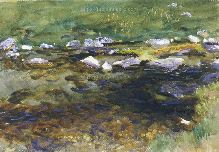 Brook and Meadow (ca. 1907) by John Singer Sargent apercu