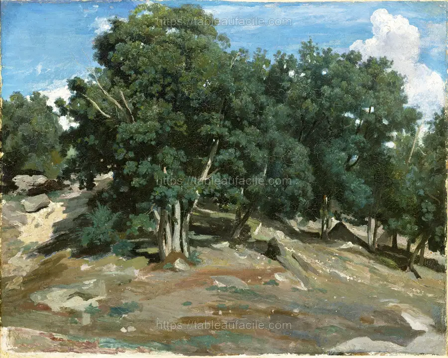 Fontainebleau Oak Trees at Bas-Bréau (1832 or 1833) by Camille Pissarro apercu