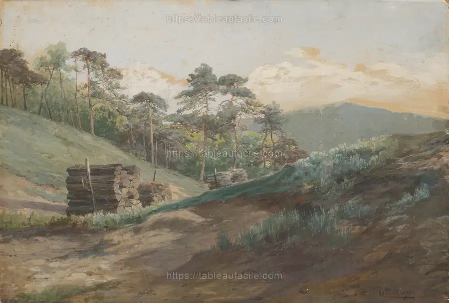 Forest valley with wood logs by Lajos Csordák apercu