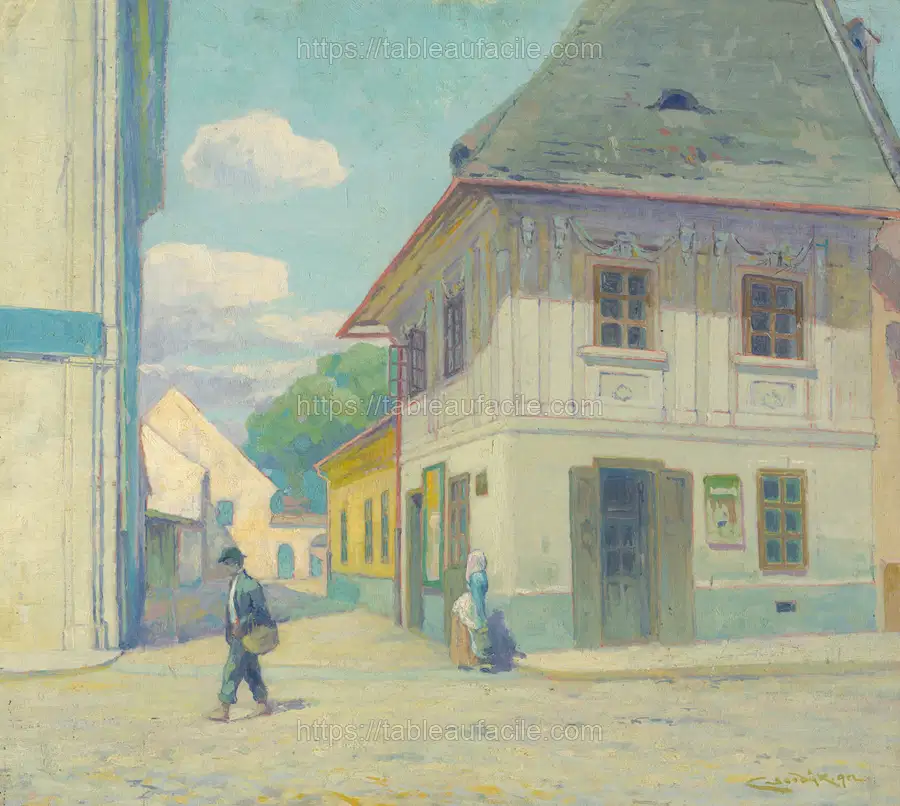 House on mäsiarská street in košice by Lajos Csordák apercu