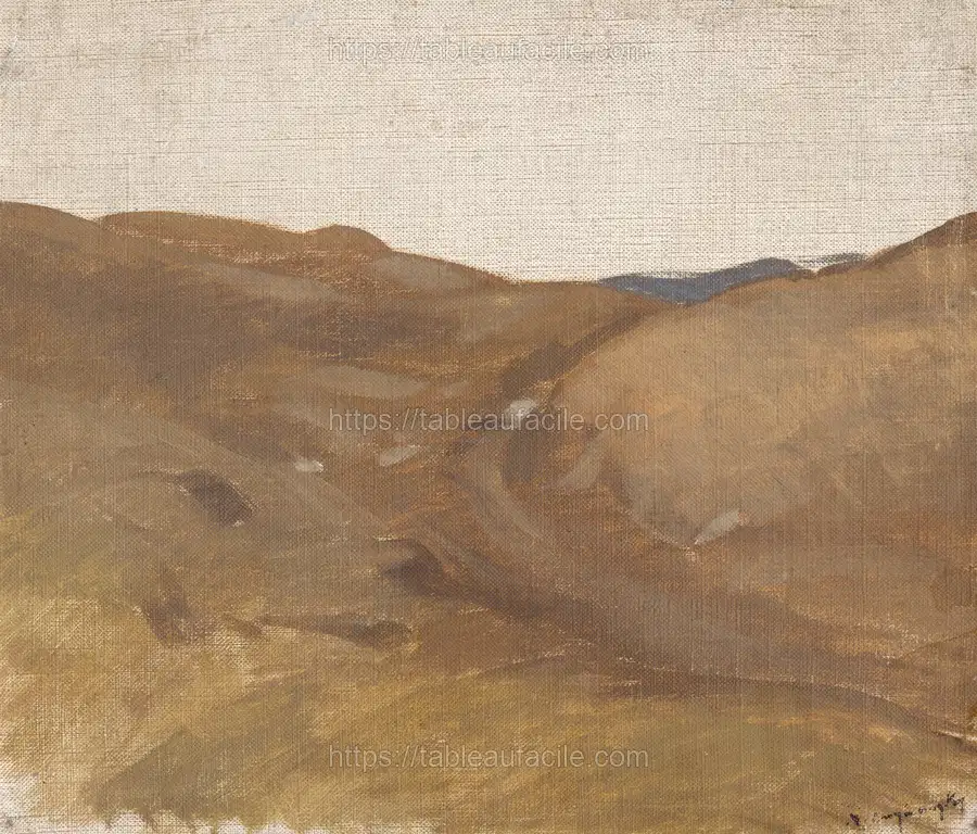 Landscape with white sky by László Mednyánszky apercu