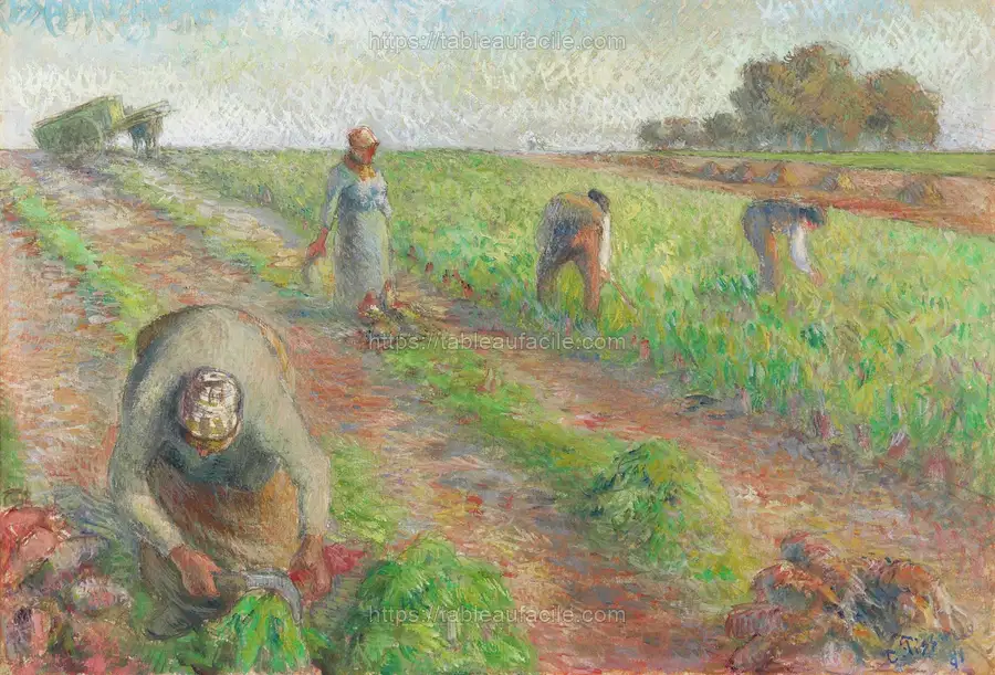 The Beet Harvest (1881) Camille Pissarro apercu