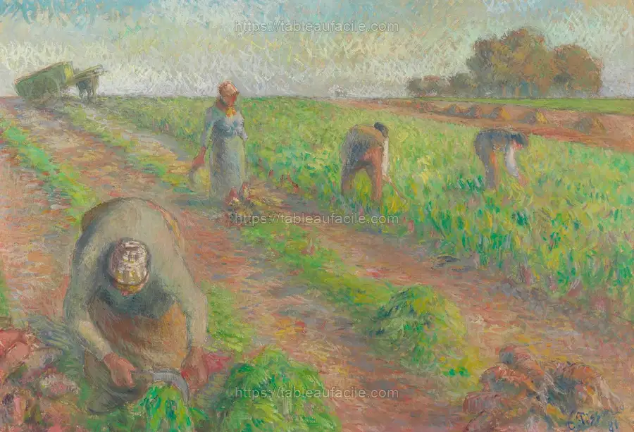 The Beet Harvest (1881) by Camille Pissarro apercu