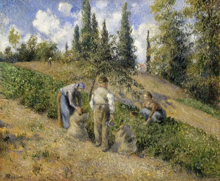 The Harvest, Pontoise (1881) by Camille Pissarro apercu