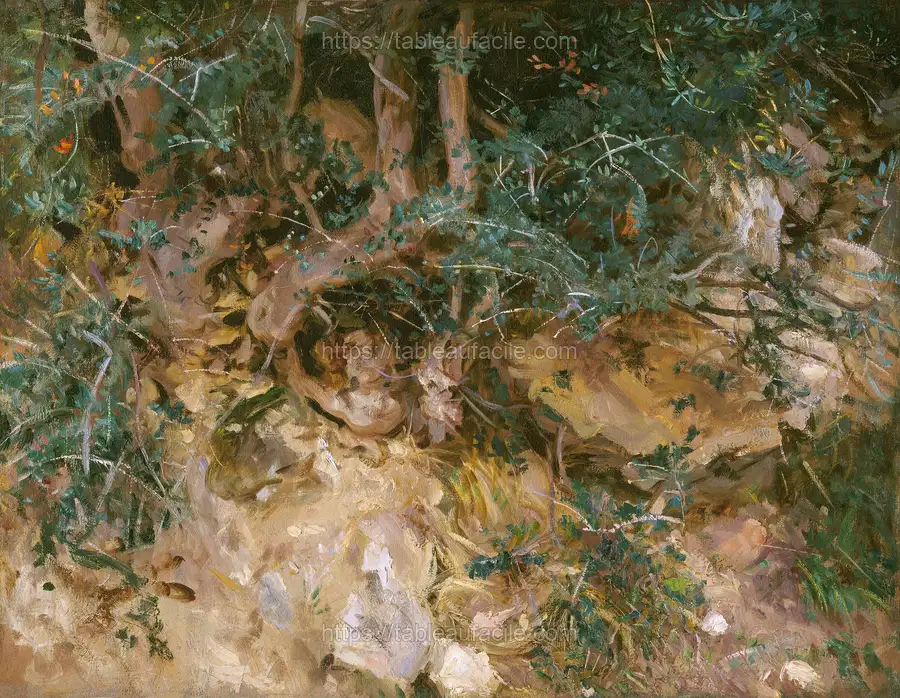 Valdemosa, Majorca Thistles and Herbage on a Hillside (1908) by John Singer Sargent apercu