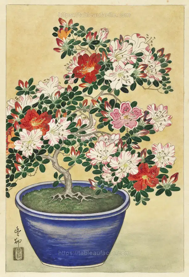 Blooming azalea in blue pot (1920 - 1930) by Ohara Koson apercu