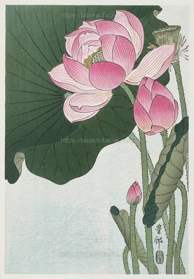 Blooming lotus flowers (1920 - 1930) by Ohara Koson apercu