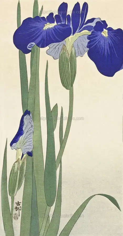 Blue Irises (1900 - 1930) by Ohara Koson apercu