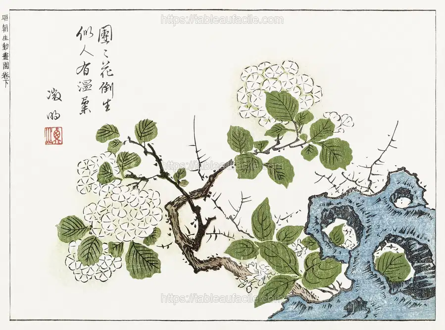 Botanical from Minchô shiken, Sorimachi 409 (1746) vintage Japanese woodblock prints by Ôoka Shunboku apercu