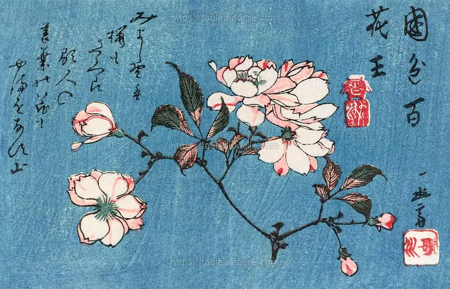 Cherry Blossoms (1797–1858) woodblock print by Utagawa Hiroshige apercu