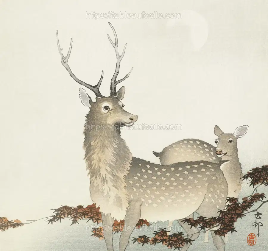 Couple of deers (1900 - 1930) by Ohara Koson apercu