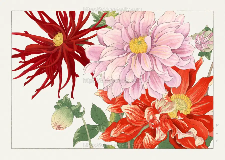 Dahlia flower woodblock painting apercu