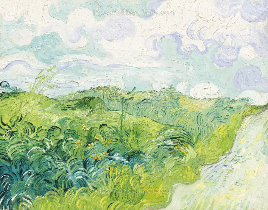 Green Wheat Fields, Auvers (1890) by Vincent Van Gogh apercu