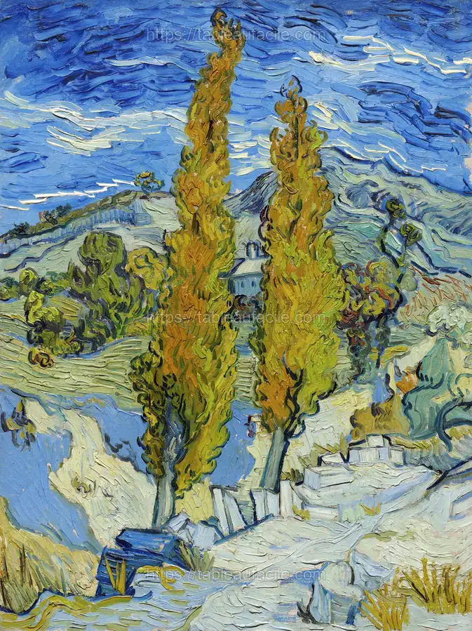 The Poplars at Saint-Rémy (1889) by Vincent Van Gogh apercu