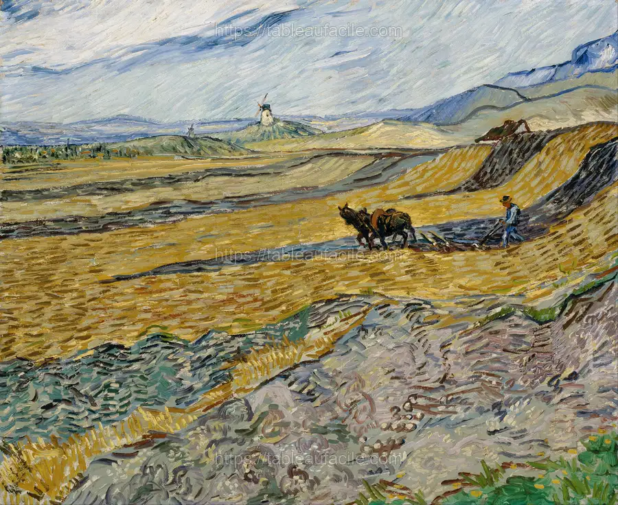 Vincent van Gogh - Enclosed Field with Ploughman apercu