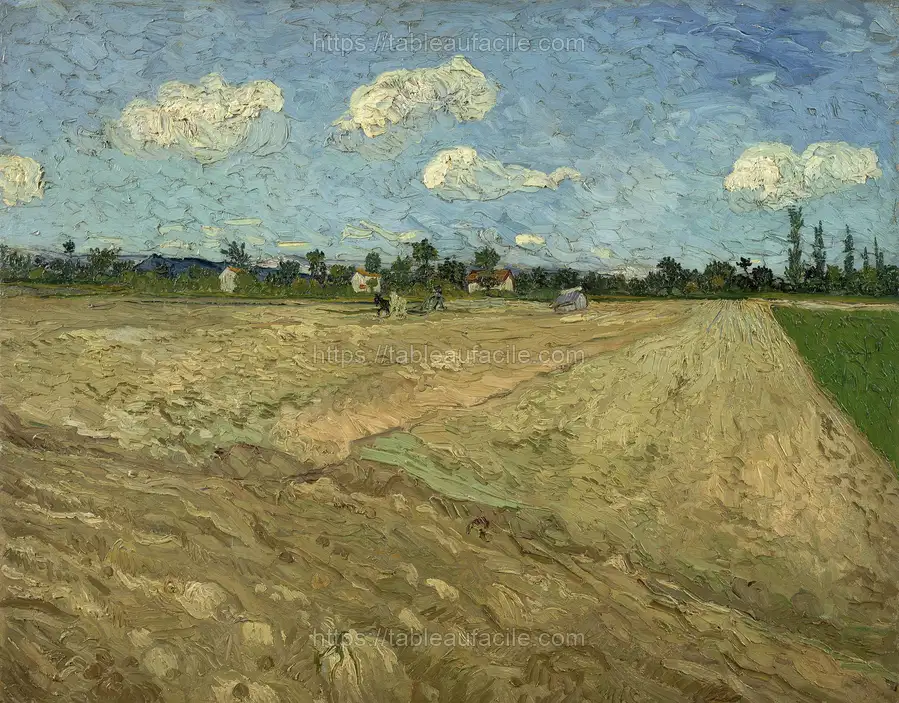 Vincent van Gogh - Geploegde akkers apercu
