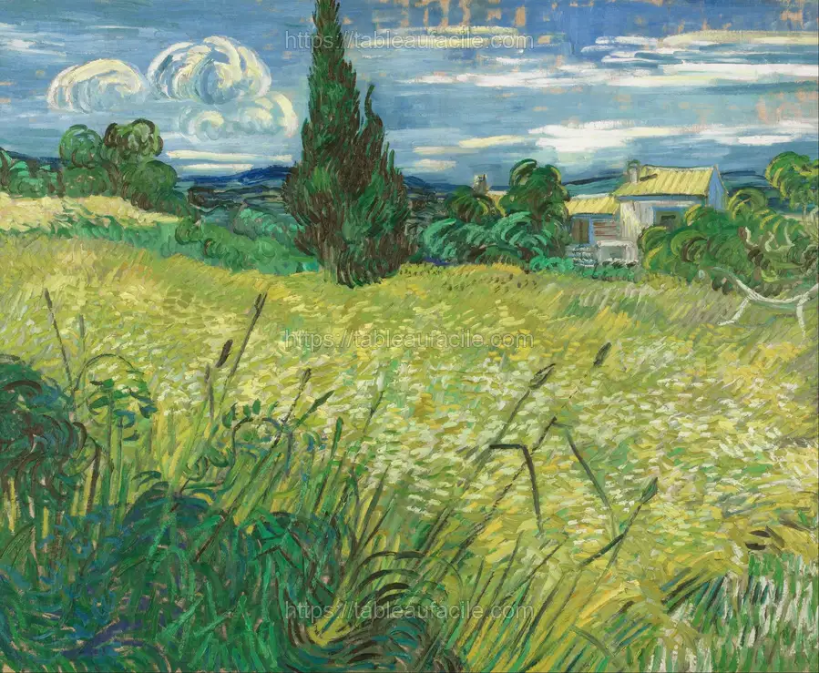 Vincent van Gogh - Green Field apercu