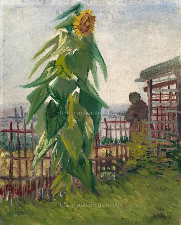 Vincent van Gogh_s Allotment with Sunflower (1887) apercu