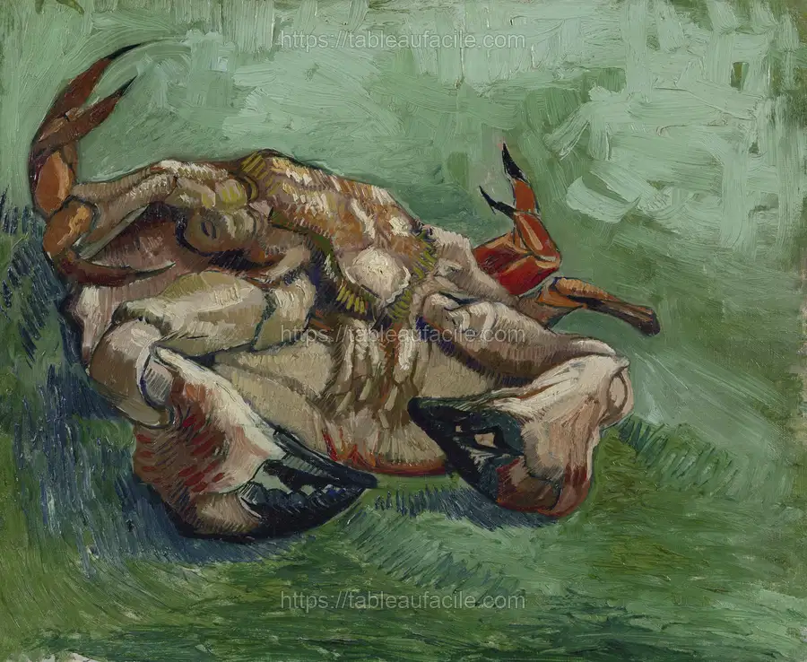 Vincent van Gogh_s Crab on its Back (1888) apercu