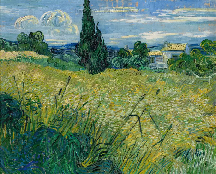 Vincent van Gogh_s Green Wheat Field with Cypress (1889) apercu