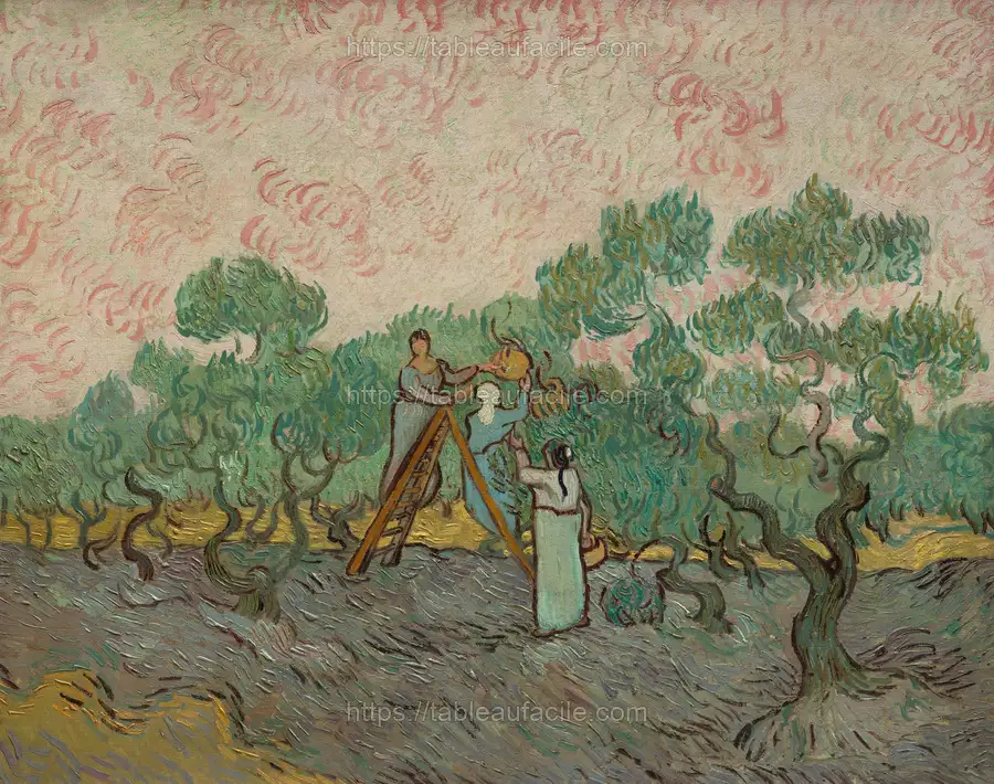Women Picking Olives by Vincent van Gogh apercu