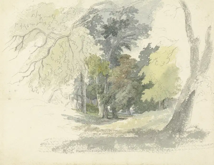 A Woodland Glade apercu