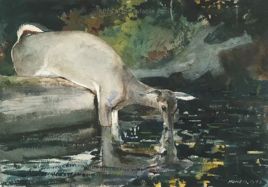 Deer Drinking (1892) by Winslow Homer apercu