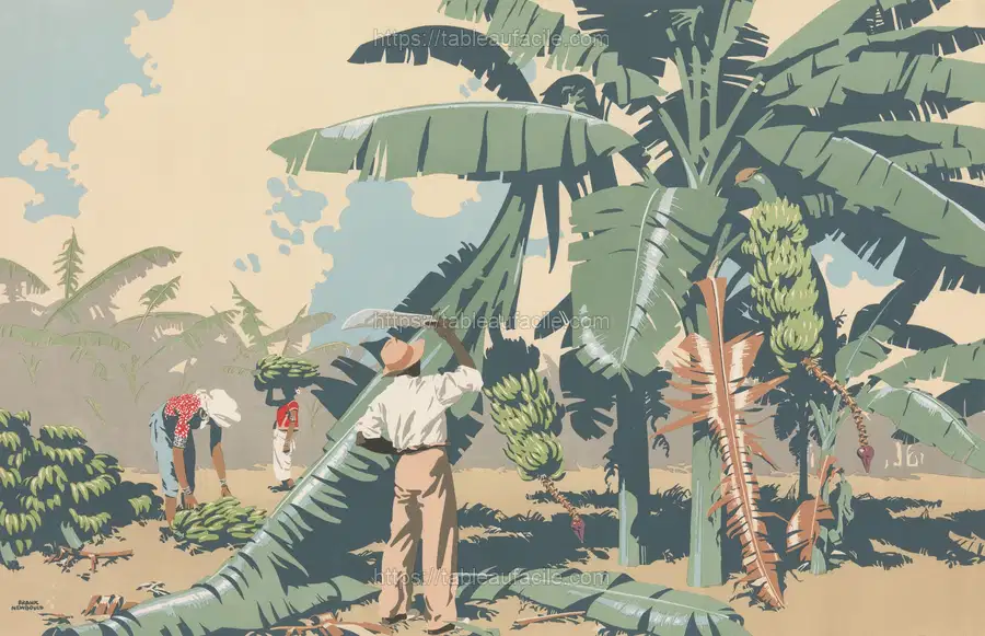 Empire Buying Makes Busy Factories Cutting Bananas in Jamaica apercu