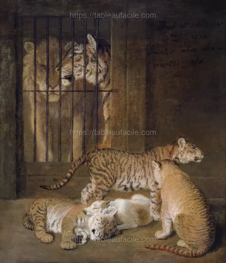 Group of Whelps Bred between a Lion and a Tigress (1825) by Jacques–Laurent Agasse apercu