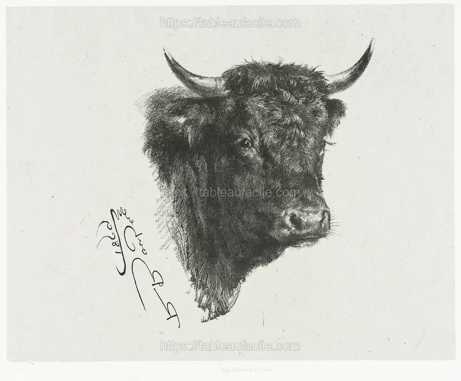 Head of a Bull by Marie Rosalie Bonheur apercu