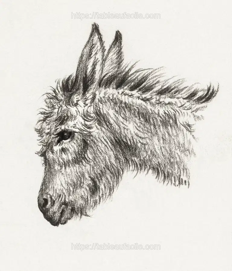Head of a donkey (1818) by Jean Bernard 2b apercu