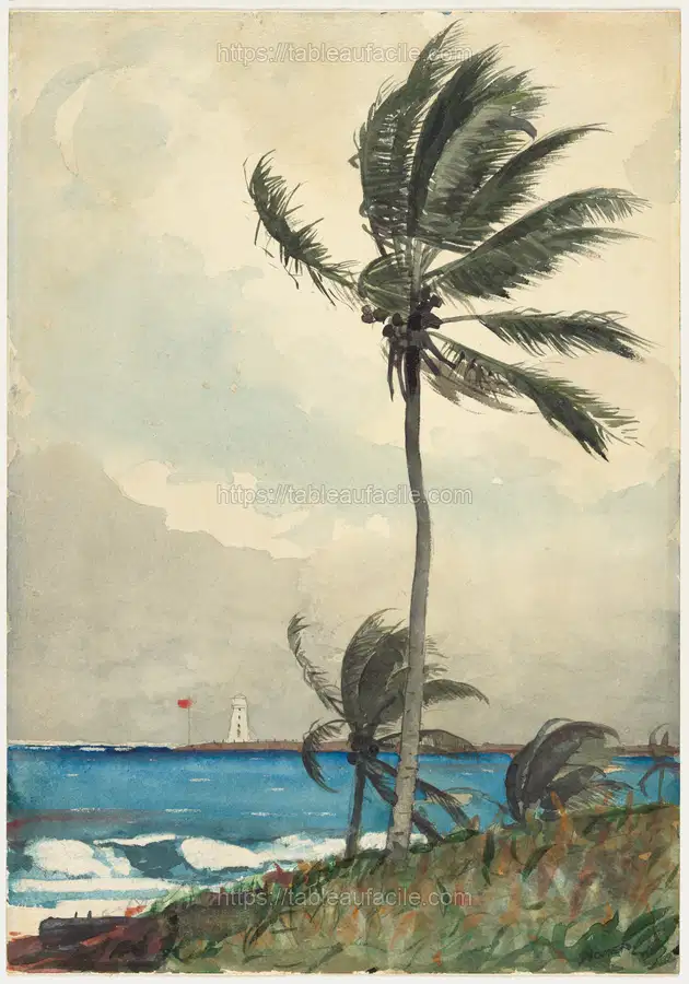 Nassau by Winslow Homer apercu