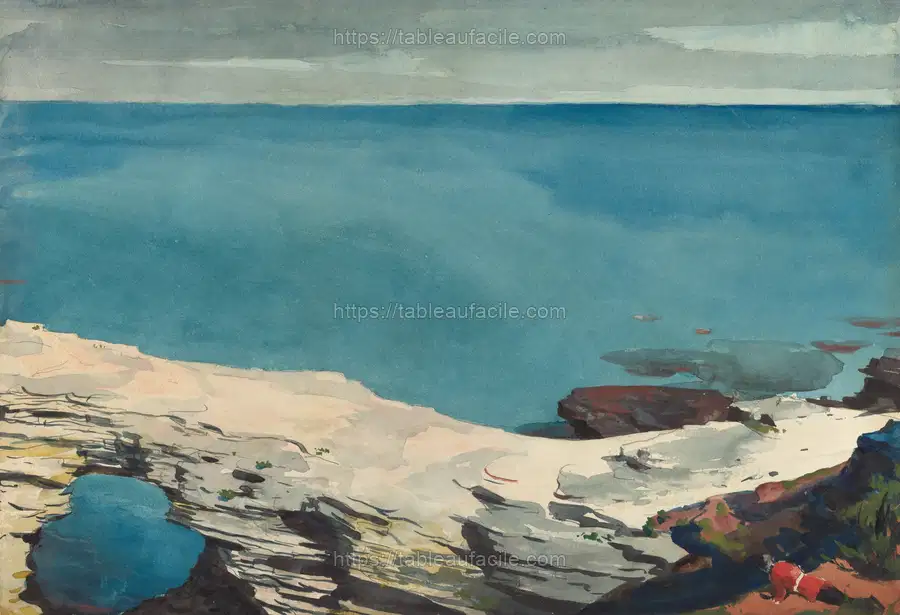 Natural Bridge, Bermuda by Winslow Homer apercu